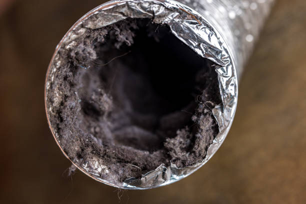 Best HVAC Air Duct Cleaning  in Driggs, ID