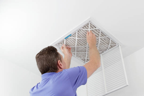 Best Professional Duct Cleaning Services  in Driggs, ID